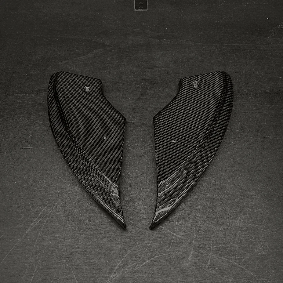 Rear Spats in Carbon Fiber - AUDI TT RS Pre FL 8S Mk3